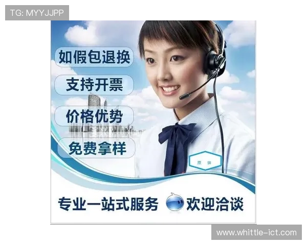 PA真人下載极速体验指南，确保每一次下载都能顺利进行不卡顿